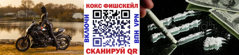 COCAIN Fish Scale  сколько стоит  Иланский 