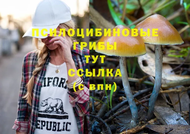 Псилоцибиновые грибы Psilocybine cubensis  Иланский 