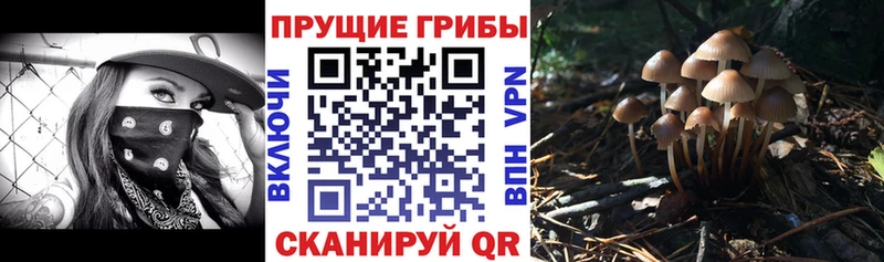 Псилоцибиновые грибы мицелий  наркотики  Иланский 